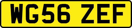 WG56ZEF