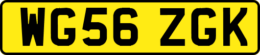 WG56ZGK