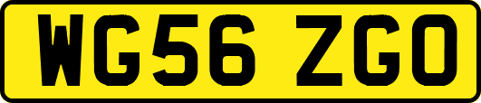 WG56ZGO