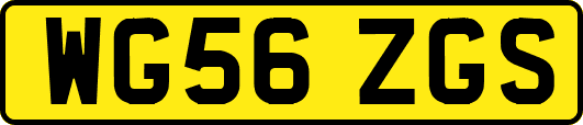 WG56ZGS