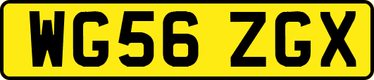 WG56ZGX