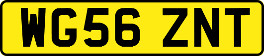 WG56ZNT