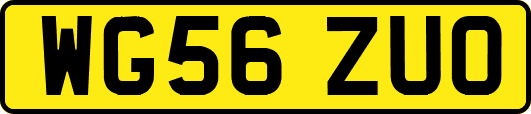 WG56ZUO