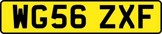WG56ZXF