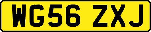 WG56ZXJ
