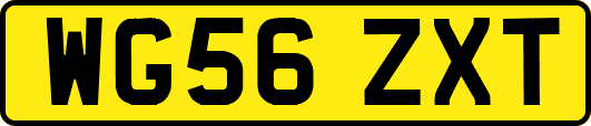 WG56ZXT