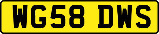 WG58DWS