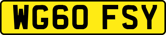 WG60FSY
