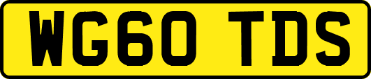 WG60TDS