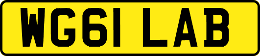 WG61LAB