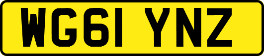 WG61YNZ