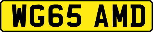 WG65AMD