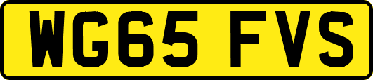 WG65FVS
