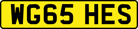 WG65HES