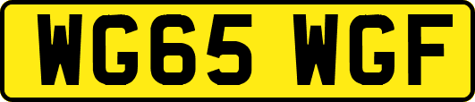 WG65WGF