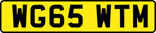 WG65WTM