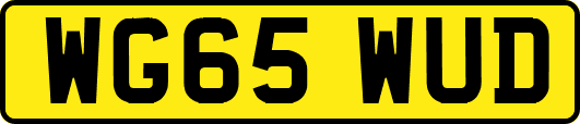 WG65WUD