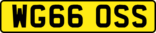 WG66OSS