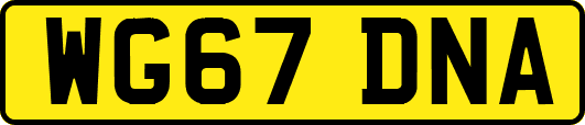 WG67DNA