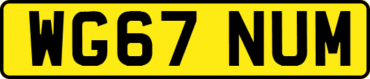WG67NUM