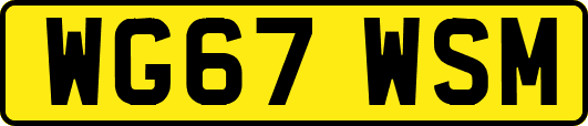 WG67WSM