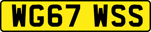 WG67WSS