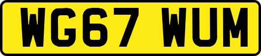 WG67WUM