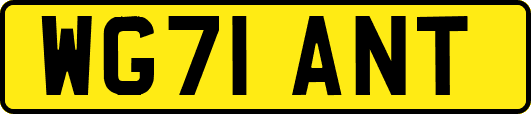 WG71ANT
