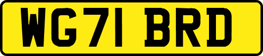 WG71BRD