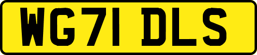 WG71DLS