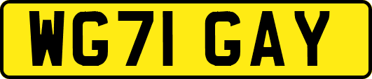 WG71GAY