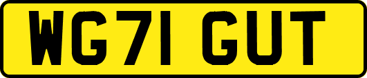 WG71GUT