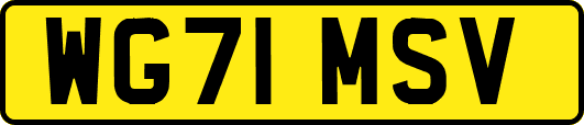 WG71MSV