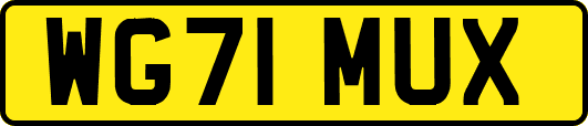 WG71MUX