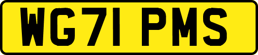 WG71PMS