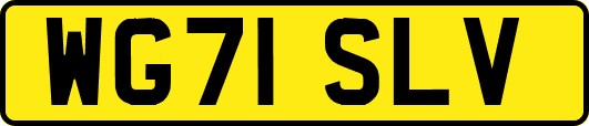 WG71SLV