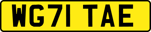 WG71TAE