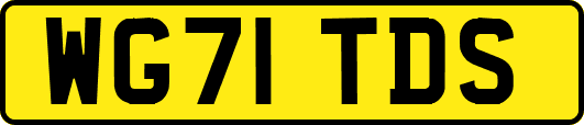 WG71TDS