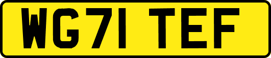 WG71TEF