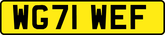 WG71WEF