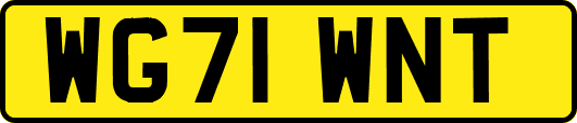 WG71WNT