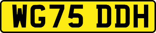 WG75DDH