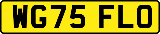 WG75FLO