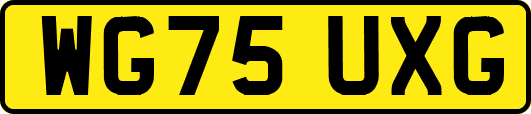 WG75UXG