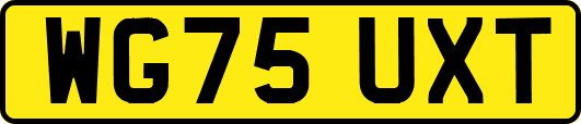 WG75UXT