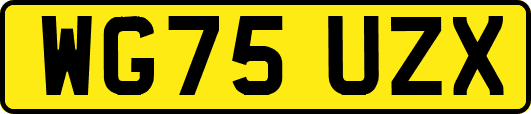 WG75UZX