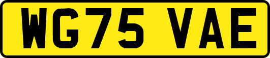 WG75VAE