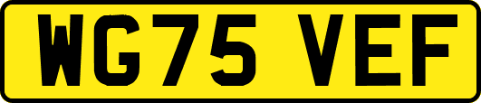 WG75VEF