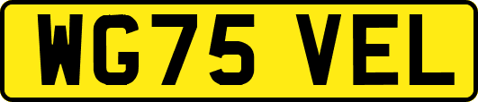 WG75VEL