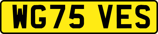 WG75VES
